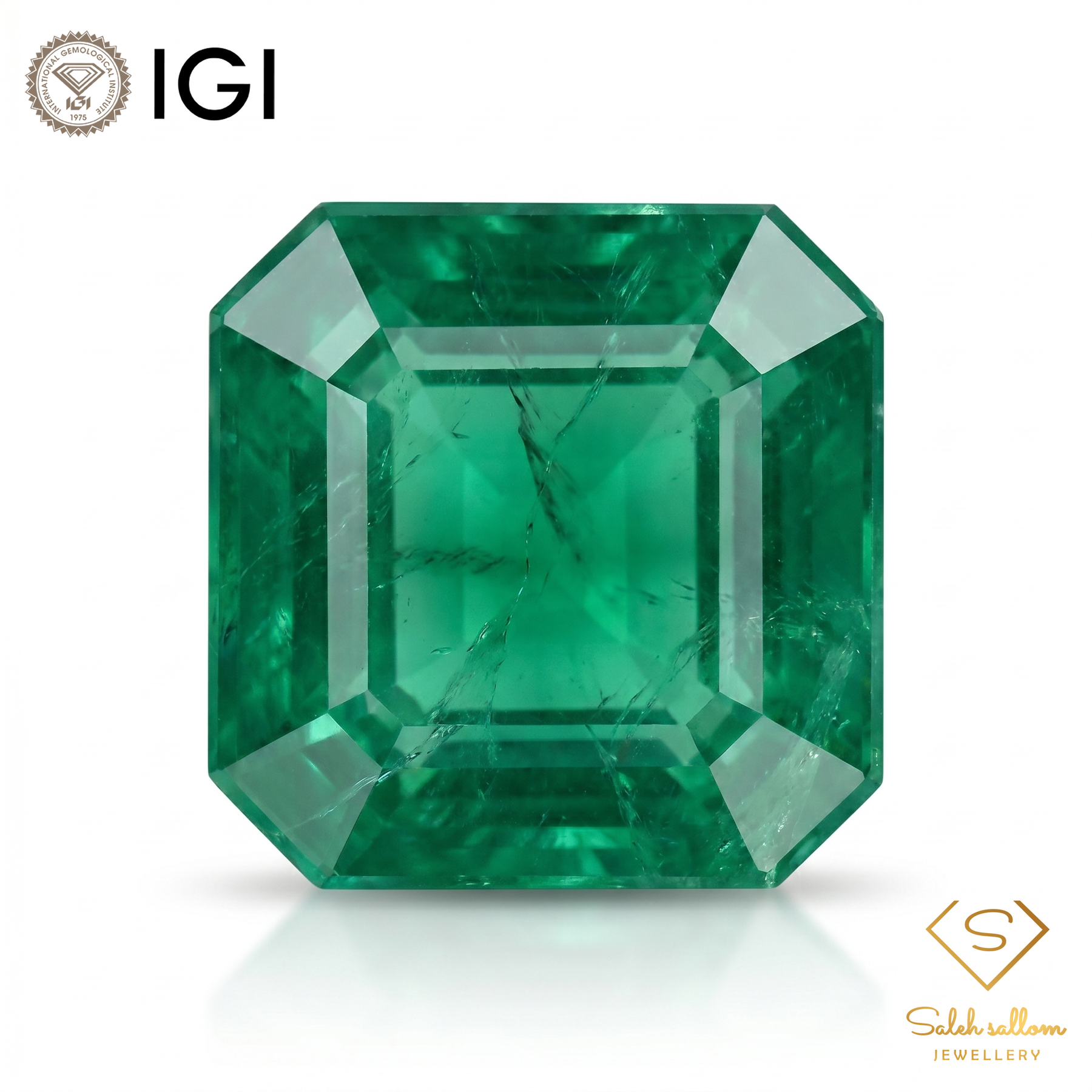 IGI Certified Natural Emerald | 1.17 Carats Square Emerald Cut | Rich Green Fine Gemstone-Saleh Sallom