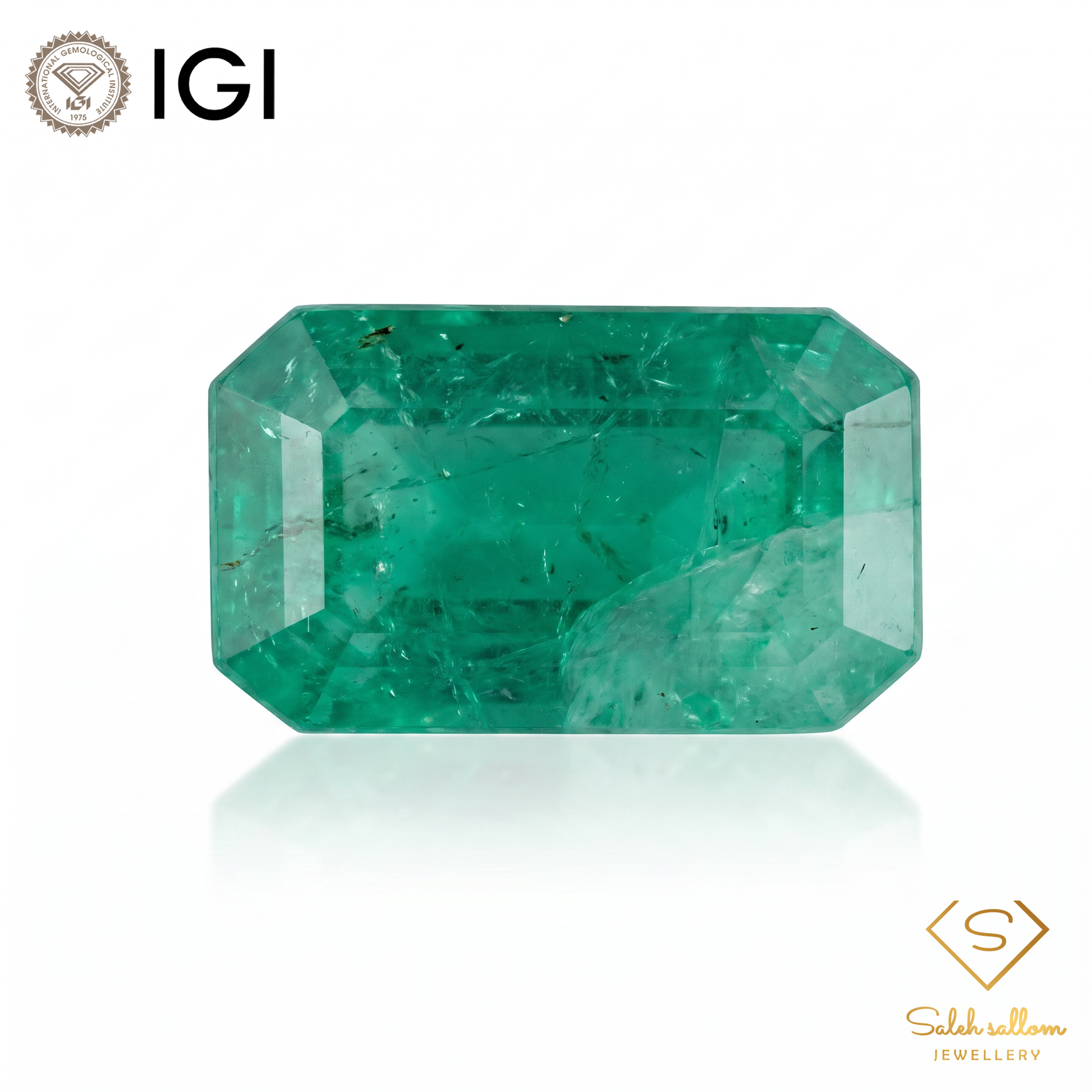 IGI Certified Natural Emerald | 3.13 Carats Emerald Cut | Rich Green Collector Gemstone-Saleh Sallom