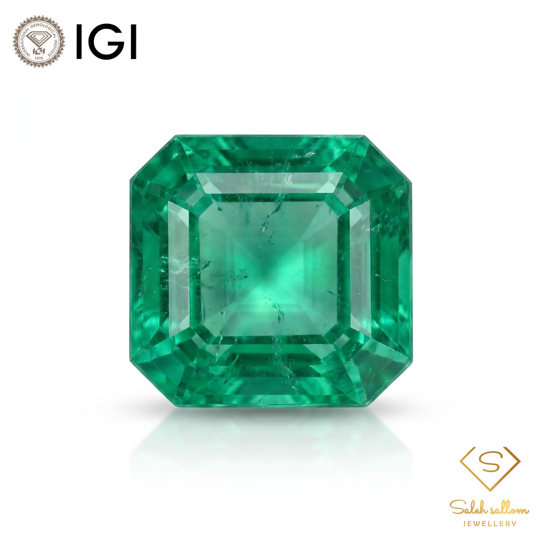 IGI Certified Natural Emerald | 2.80 Carats Emerald Cut | Fine Green Collector Gemstone-Saleh Sallom