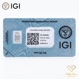 IGI Certified Natural Emerald | 2.80 Carats Emerald Cut | Fine Green Collector Gemstone-Saleh Sallom