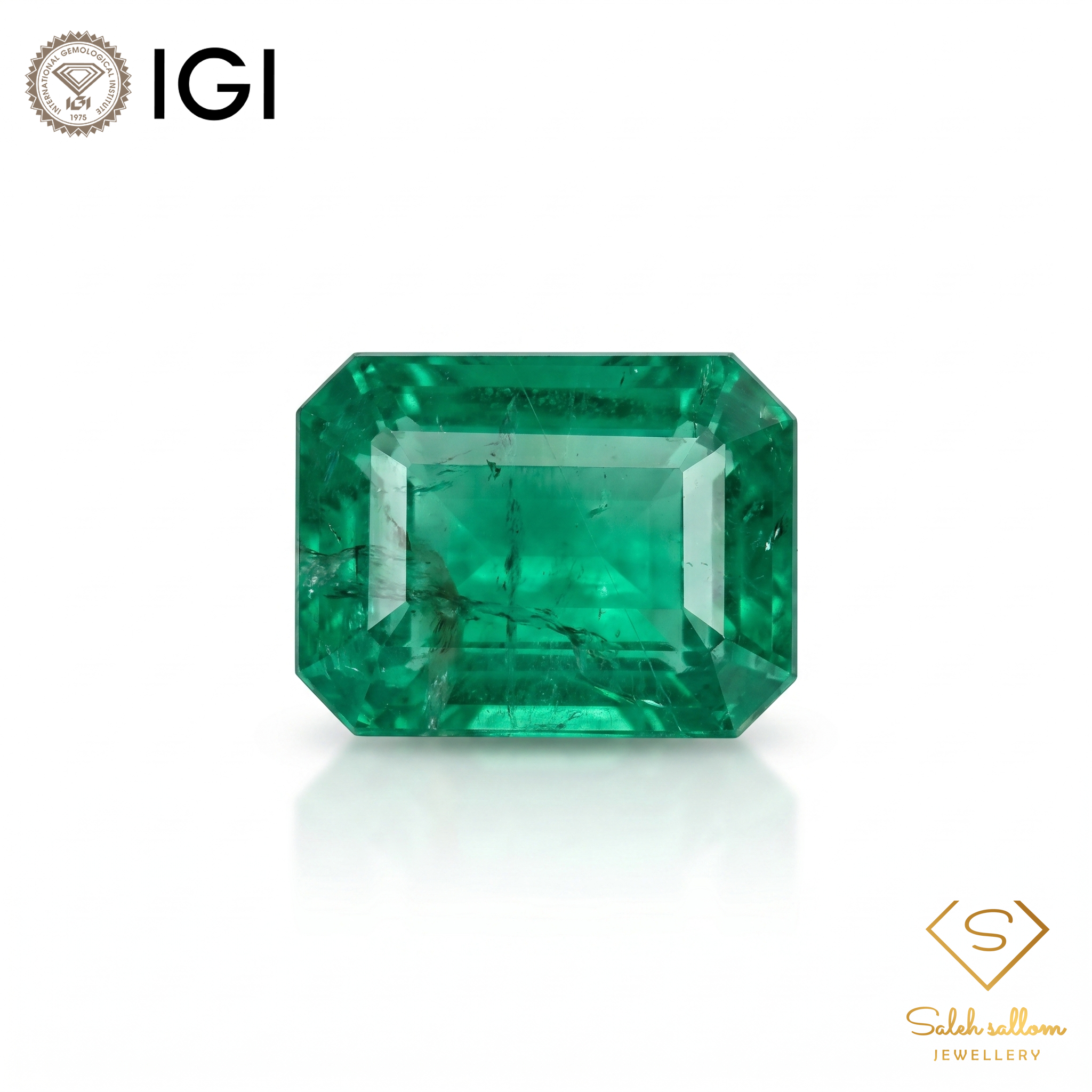 IGI Certified Natural Emerald | 3.24 Carats Emerald Cut | Fine Green Collector Gemstone-Saleh Sallom Main image