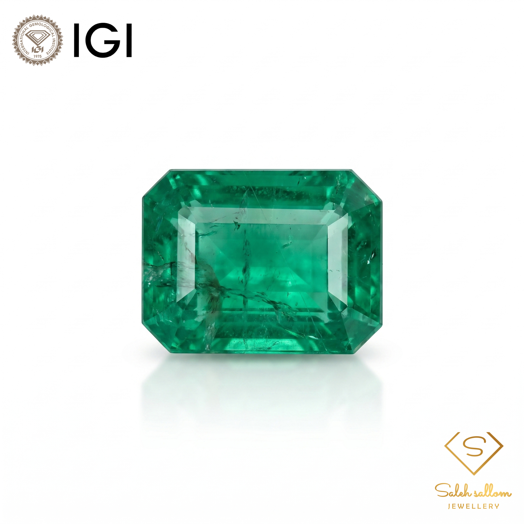 IGI Certified Natural Emerald | 3.24 Carats Emerald Cut | Fine Green Collector Gemstone-Saleh Sallom