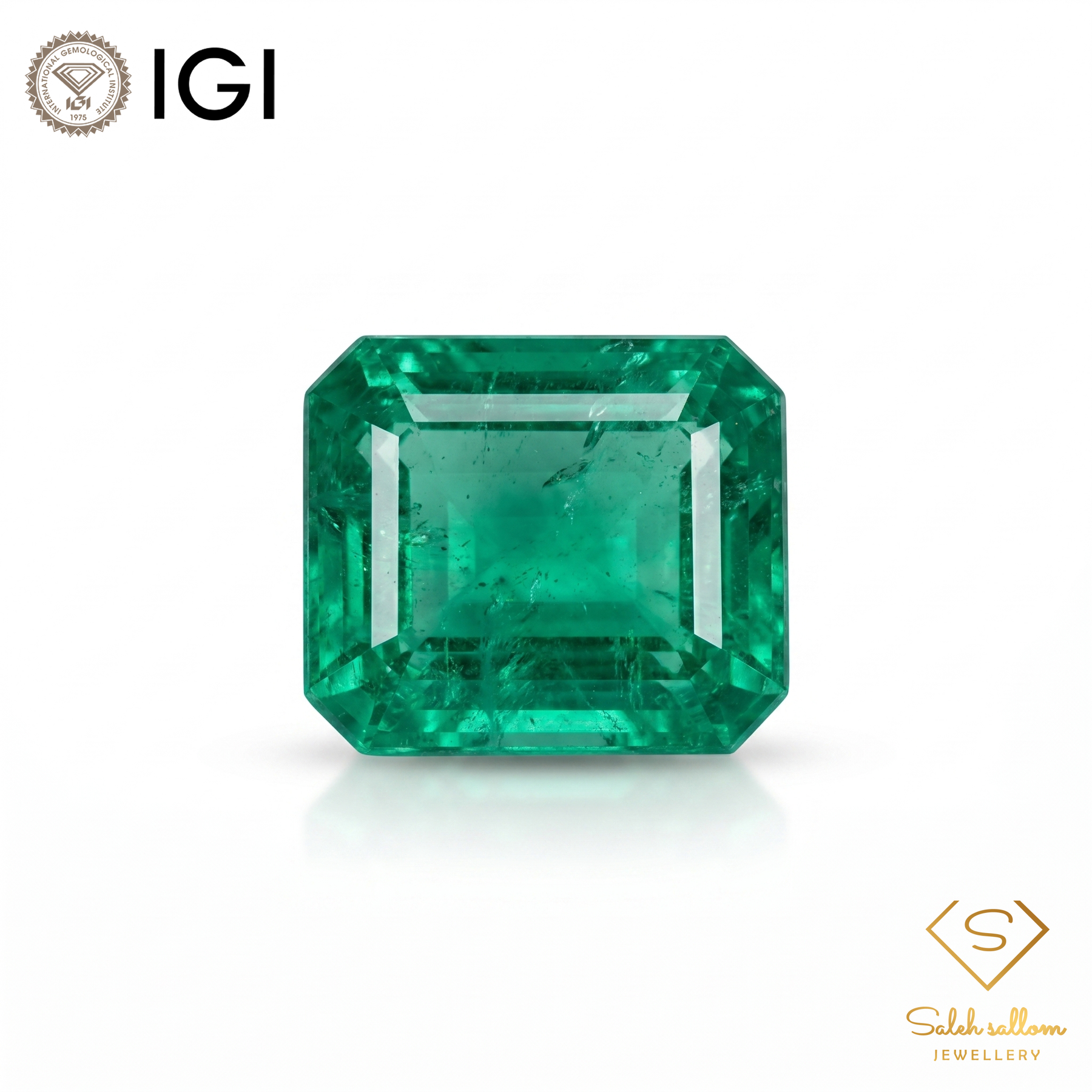 IGI Certified Natural Emerald | 1.19 Carats Square Emerald Cut | Fine Green Collector Gemstone-Saleh Sallom