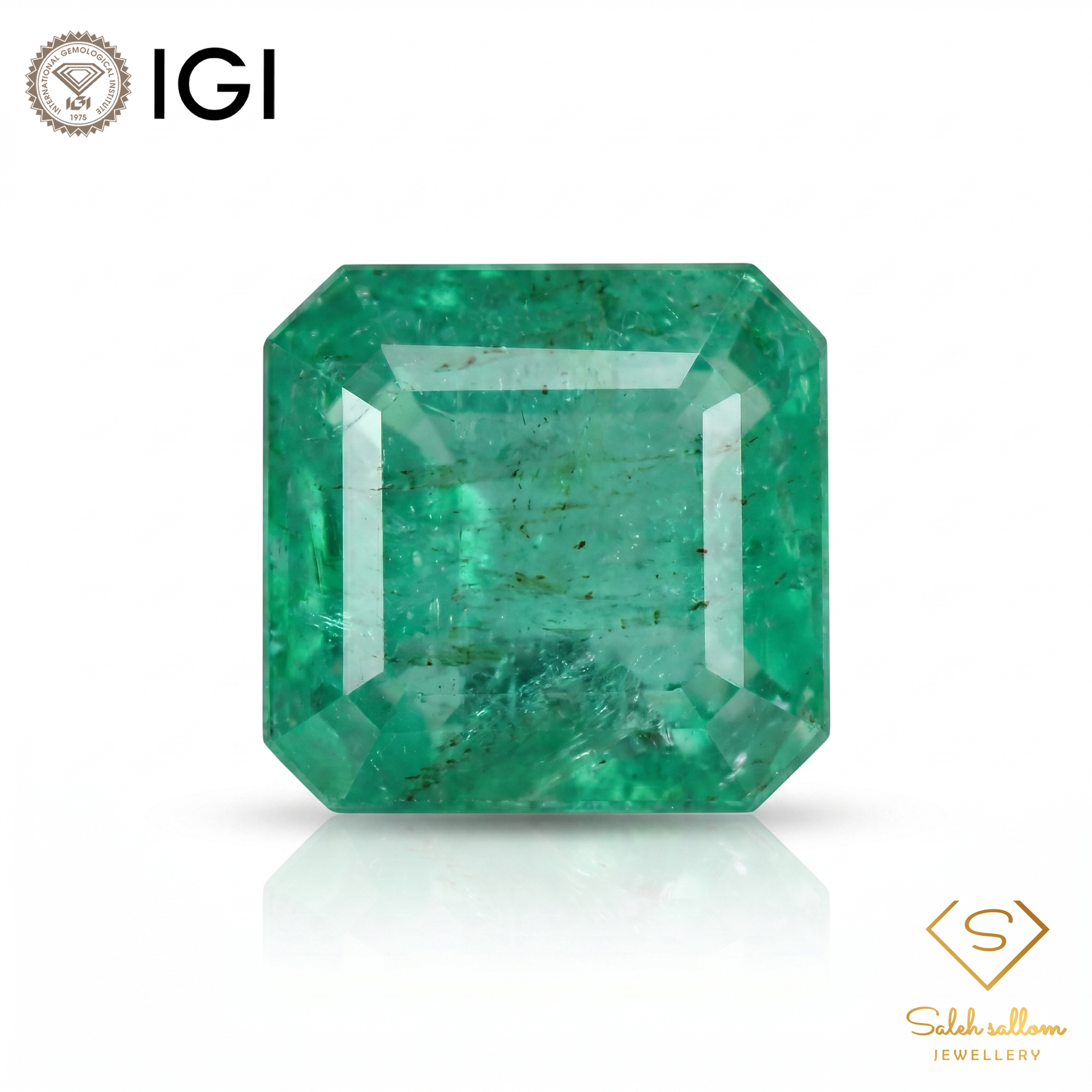 IGI Certified Natural Emerald | 1.10 Carat Square Emerald Cut | Luxury Gemstone-Saleh Sallom
