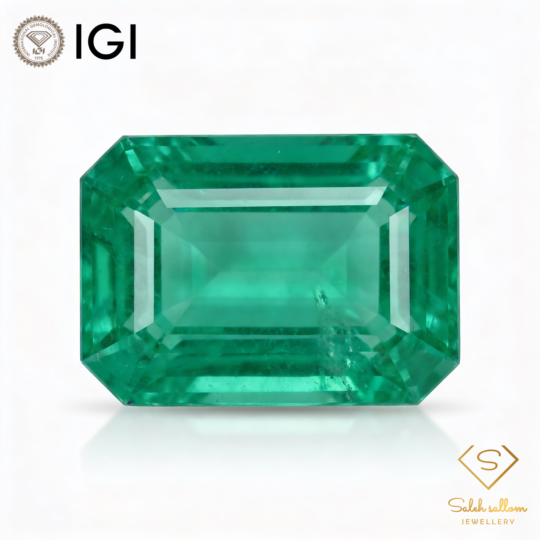 IGI Certified Natural Emerald | 3.10 Carats Emerald Cut | Fine Green Gemstone-Saleh Sallom Main image