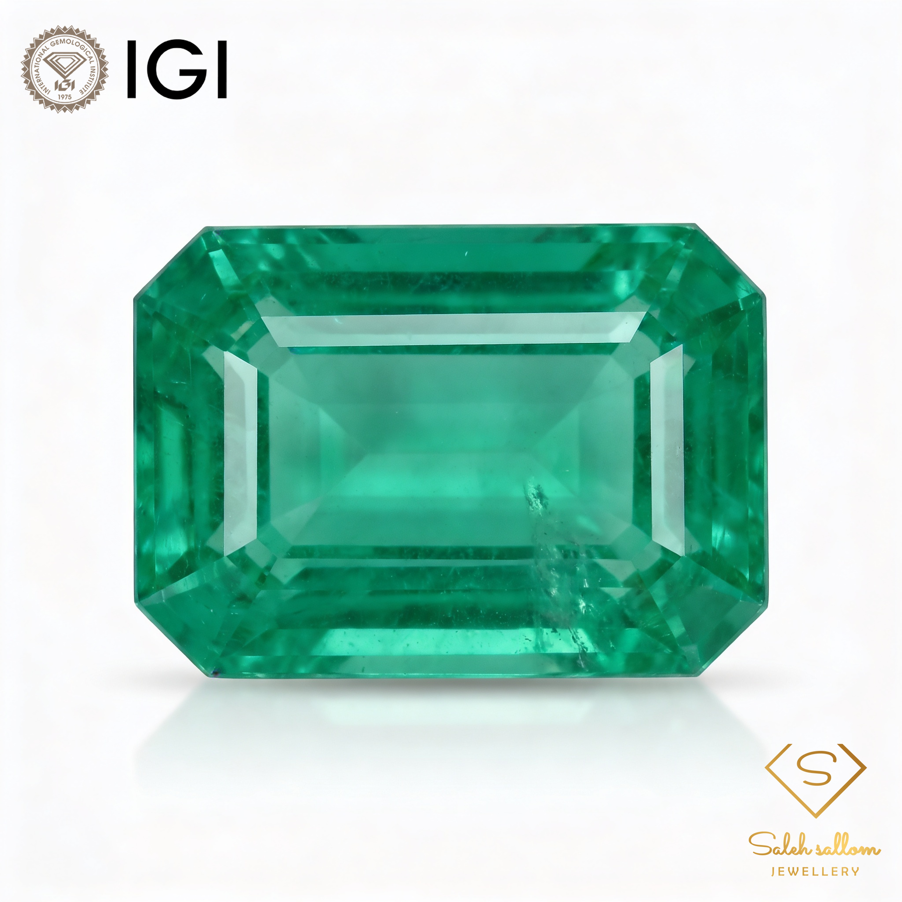 IGI Certified Natural Emerald | 3.10 Carats Emerald Cut | Fine Green Gemstone-Saleh Sallom