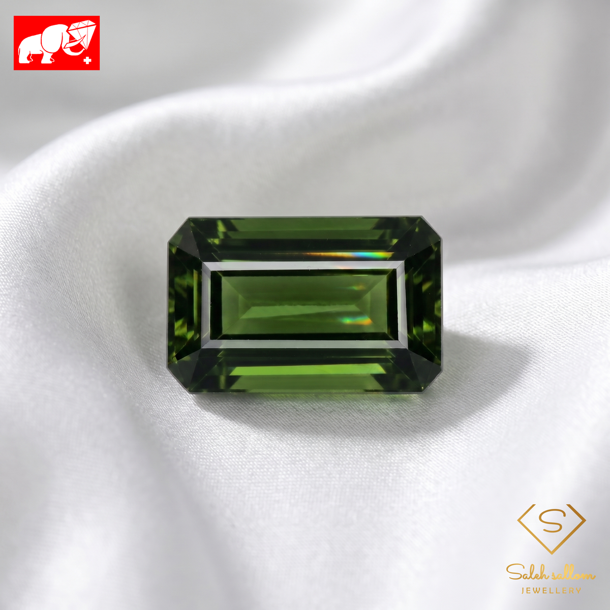 12.21 Ct Natural Green Tourmaline | Octagon Step Cut | GFCO Certified Green Tourmaline-Saleh Sallom